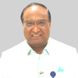 Professor Dr M.M. Goel