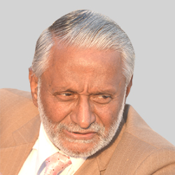 Dr S Ayyappan Nair